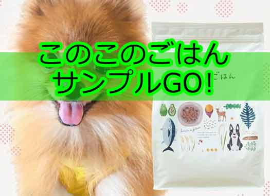 このこのごはんのサンプルお試しはどのように依頼したら良いのか！？